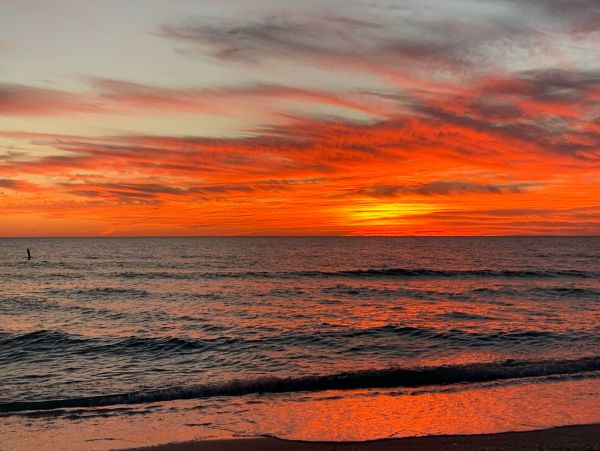 Two Bedroom Beach Condo Sleeps 4 Communal Pool