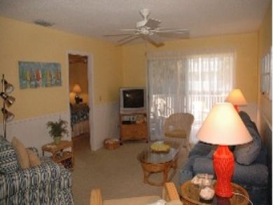 TV in Living Room