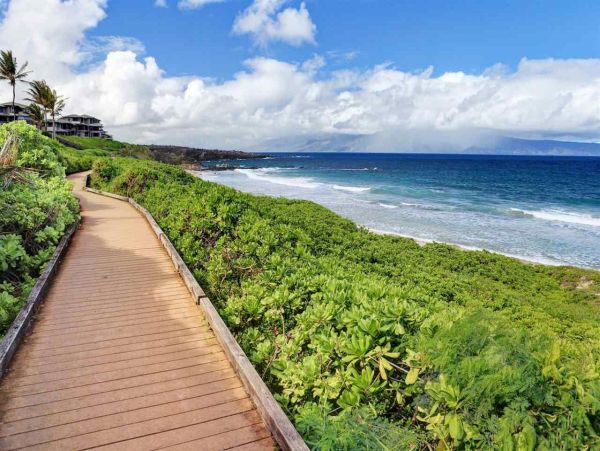Kapalua Pacific Ocean Villa 2 bedrooms And Best Amenities