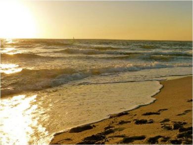 Excellent Vacation Condo in Venice, Florida