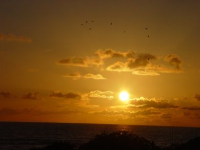 Amazing Sunsets