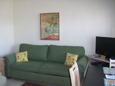 Living Area Living Area