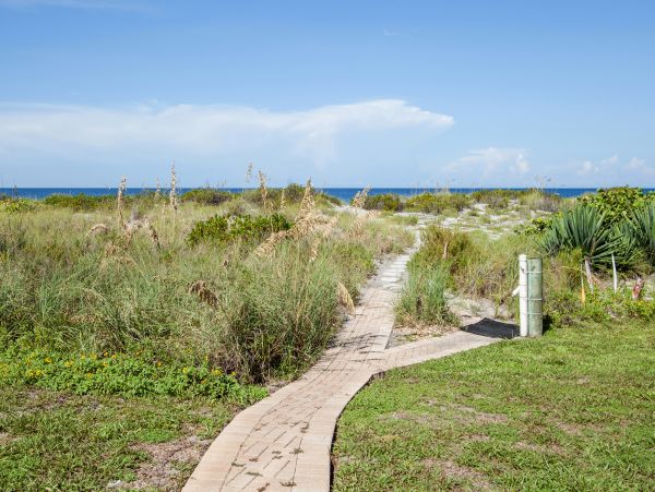 One Bedroom Beachfront Vacation Condo in Venice