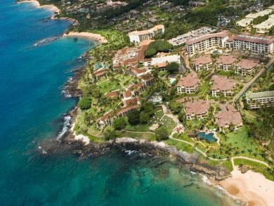 Wailea Condo 885728