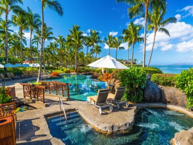 Wailea Condo 885728