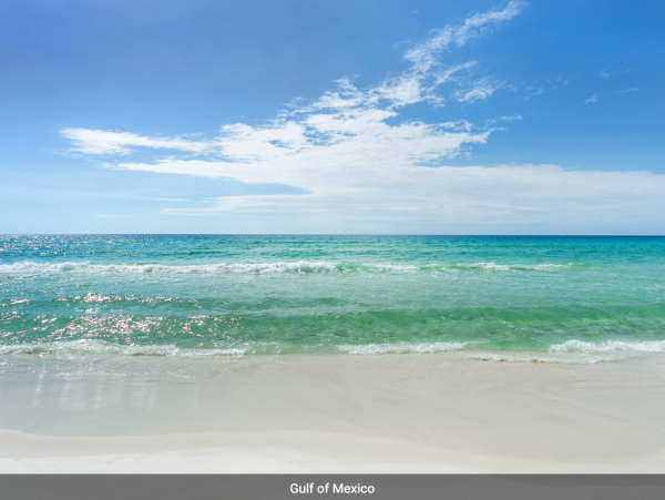 Beachfront Condo Near Destin Harbor