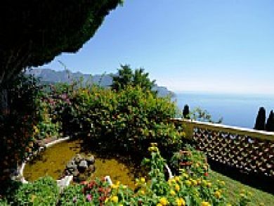 Garden with Wonderful View Garden with Wonderful View