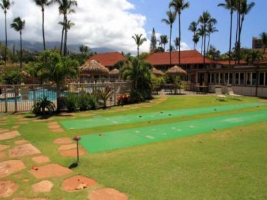 Shuffleboard