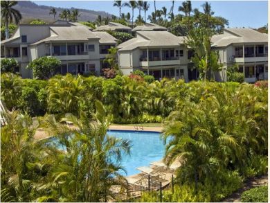 Tropical Vegetation Surrounding the Pool