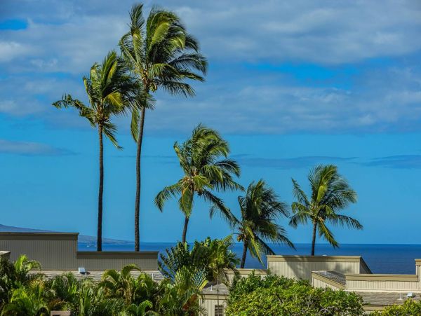 Beautifully Remodeled Two Bedroom Condo with Great Ocean Views in Wailea