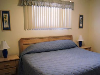 Master Bedroom has King Bed