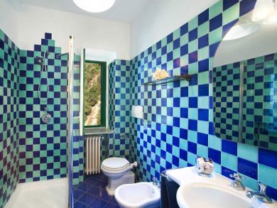 Bathroom with Shower in Tub