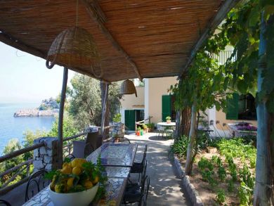 Outside Covered Dining Area