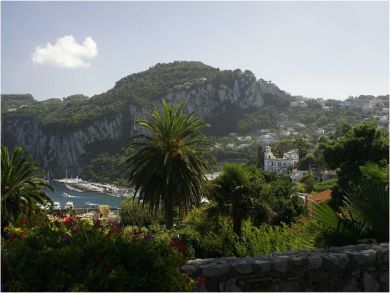 Amazing View