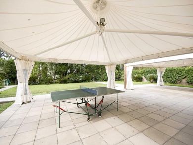 Table Tennis