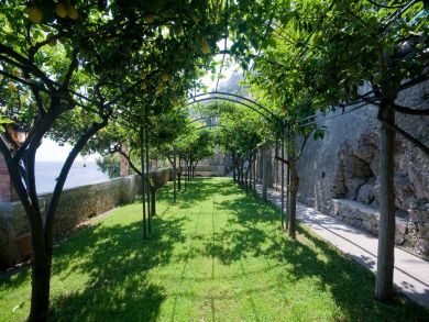 Gardens
