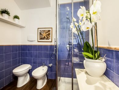 Bathroom with Wash Basin & Shower