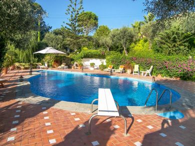 Poolside Lounging Area