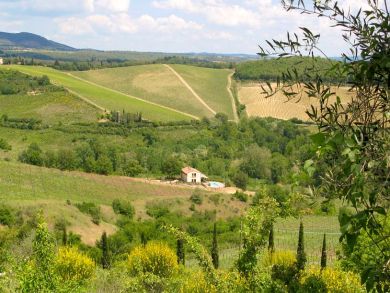 Nestled in 50 Acres of Vineyard & Woodlands Nestled in 50 Acres of Vineyard & Woodlands