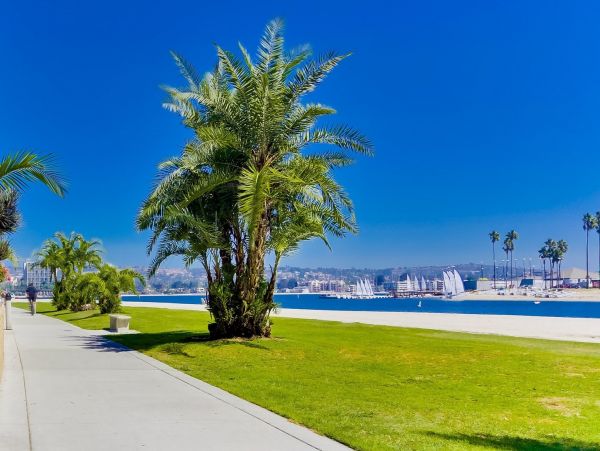 Mission Beach Four Bedroom Condo with Great Views