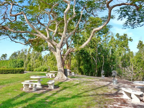 Beachfront Two Bedroom Luxury Marco Island Rental Six Guests