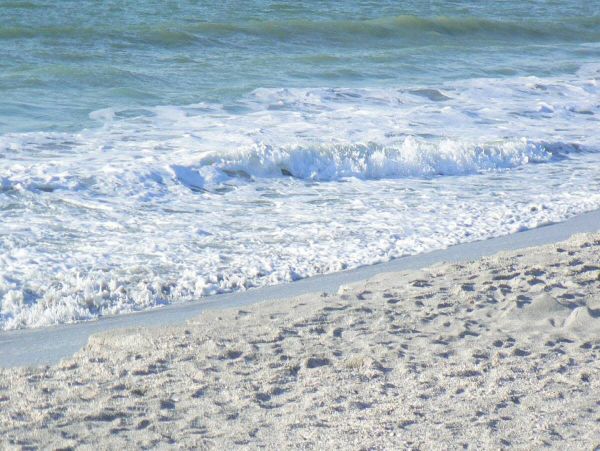 Redington Beach Vacation Rental Home with Beachfront Pool
