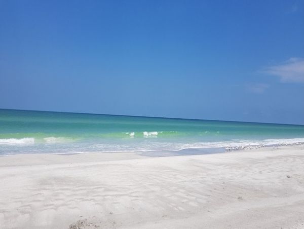 Redington Beach Vacation Rental Home with Beachfront Pool