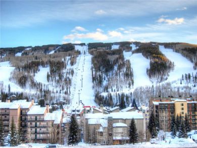 Three Bedroom Lionshead Ski Accommodation- Walk to Lifts