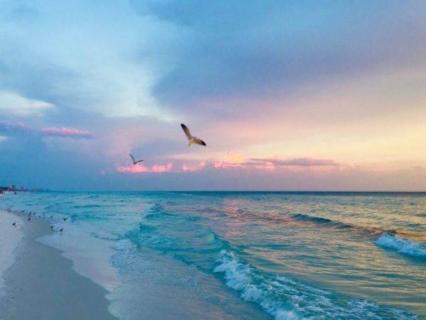 Beautiful 3 Bedroom Home with Private Pool in Destin