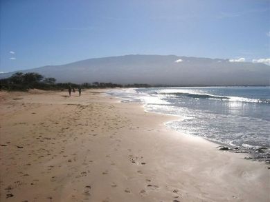 Short Walk to Sandy Beach