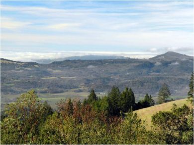 Panoramic Views of Forested Mountains