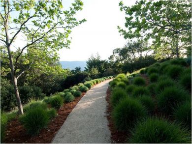 Grounds