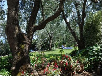 Beautiful Garden