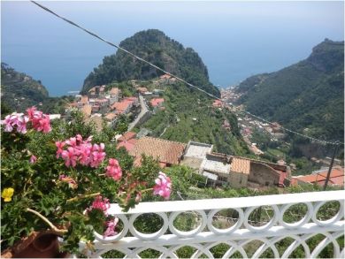 Hamlets View
