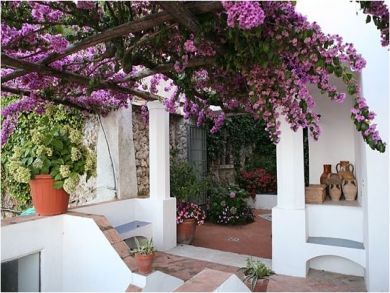 Pergola