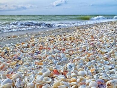 Sanibel Vacation Home Sleeps Eight Short Walk to the Beach