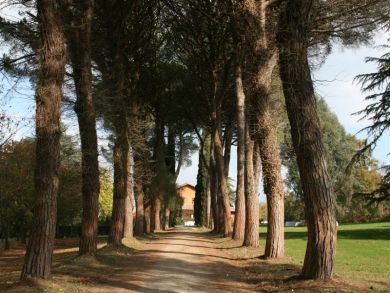 Walkway to Property