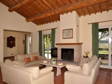 Fireplace in Living Area