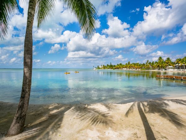 Grand Cayman Vacation Rentals - Cayman Kai Beachfront Villa