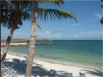 Beach View