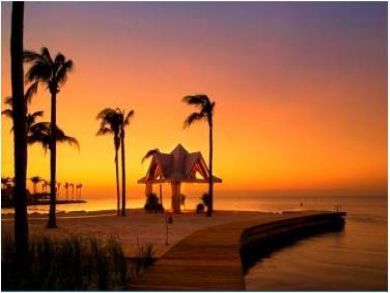 Stunning Sunsets