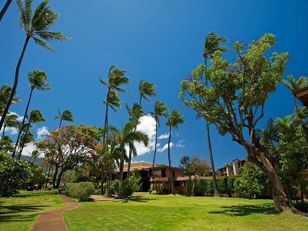 Oceanfront Family Condo in Honokowai - Unforgettable Maui Getaway