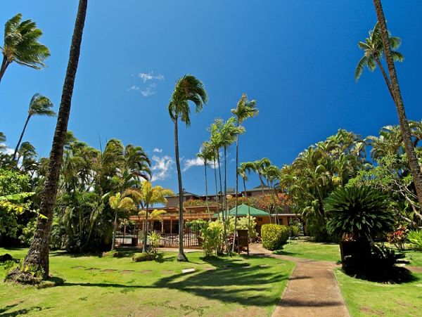 Oceanfront Family Condo in Honokowai - Unforgettable Maui Getaway