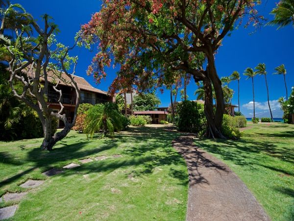 Oceanfront Family Condo in Honokowai - Unforgettable Maui Getaway