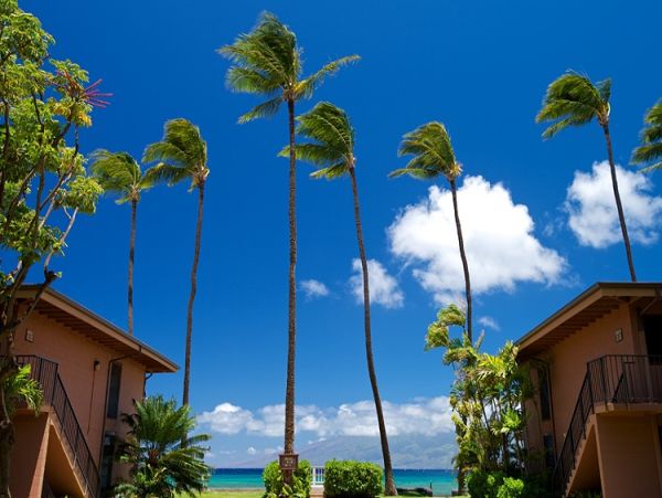 Oceanfront Family Condo in Honokowai - Unforgettable Maui Getaway