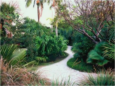 Lush Gardens