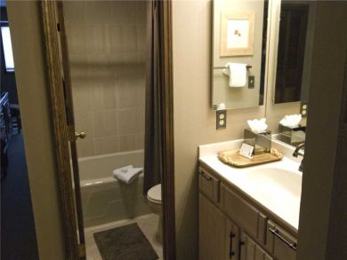 Beaver Creek Bachelor Gulch Condo 887243