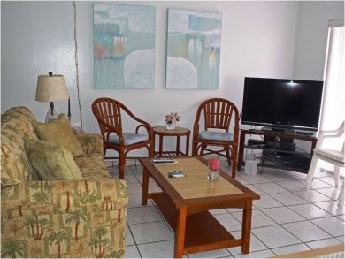 Flat Screen TV in Living Room Flat Screen TV in Living Room