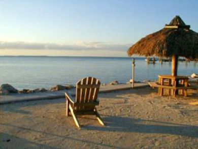 Beach Area Beach Area