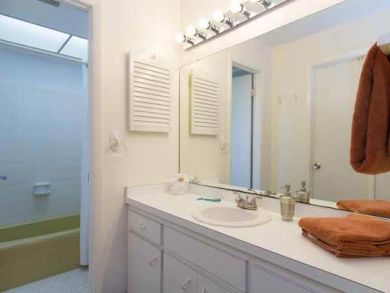 Master Bathroom with Shower in Tub